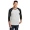 Next Level Unisex Tri-Blend 3/4-Sleeve Raglan T-Shirt